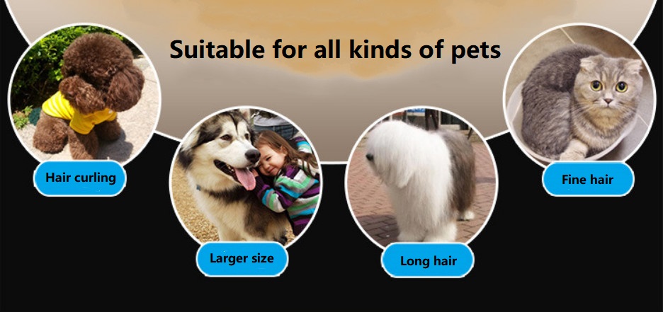 A53 Mașină de tuns animale de companie fără fir