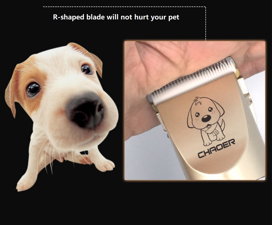 Linia P60 mașină de tuns pentru animale de companie fără fir