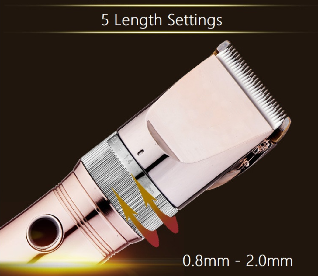 P63 Mașină de tuns animale de companie fără fir