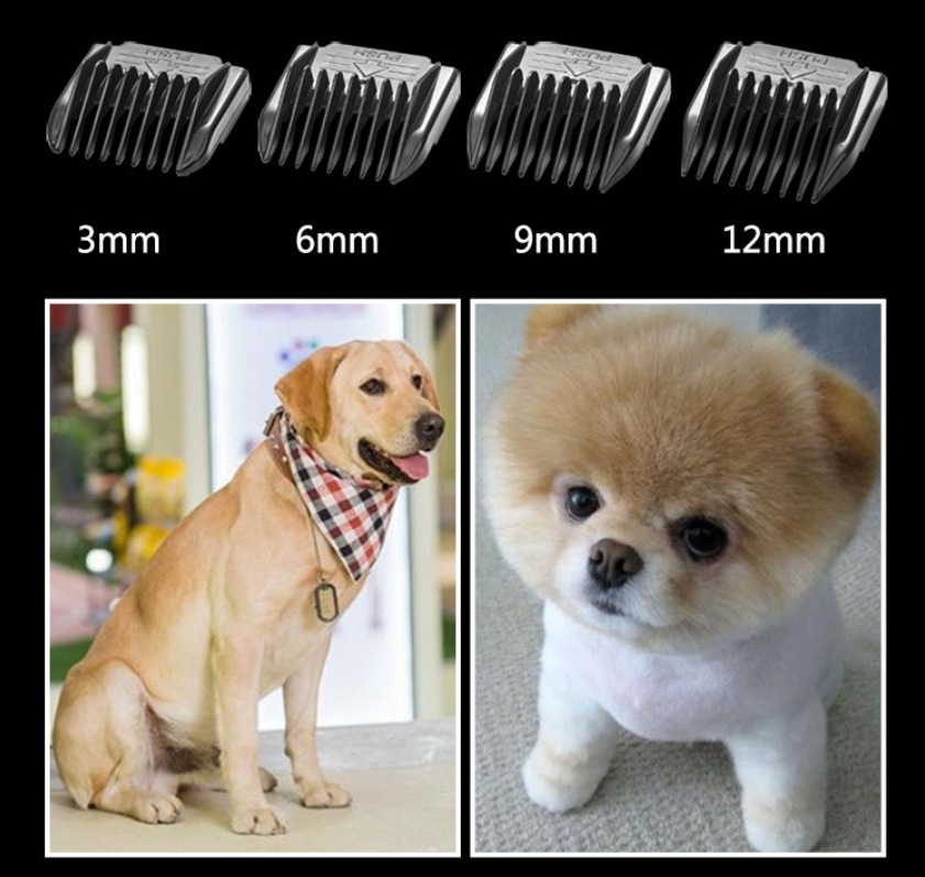 P67 Mașină de tuns animale de companie fără fir